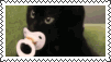 Kitty stamp