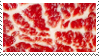 Meat stamp